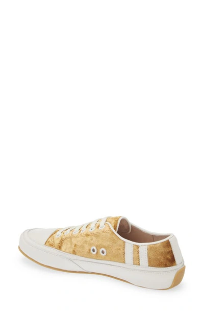 Shop Cecelia New York Rookie Sneaker In Gold Velvet