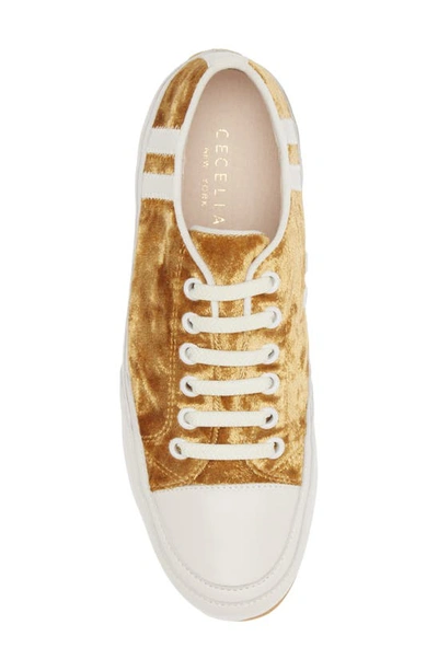 Shop Cecelia New York Rookie Sneaker In Gold Velvet