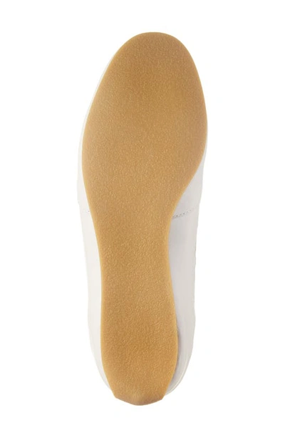 Cecelia New York Rookie Sneaker In Gold Velvet