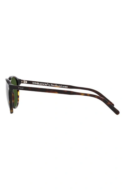 Shop Polo Ralph Lauren 51mm Phantos Sunglasses In Green