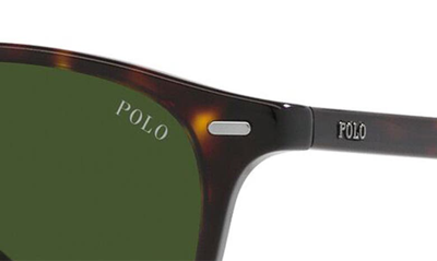 Shop Polo Ralph Lauren 51mm Phantos Sunglasses In Green