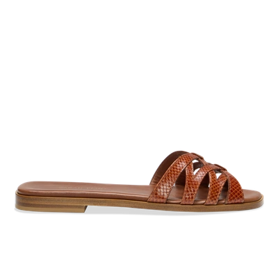 Shop Sarah Flint Kim Sandal In Brown