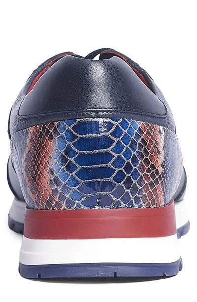 Carlos Santana Hazel Snake Print Sneaker In Navy