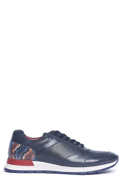 Carlos Santana Hazel Snake Print Sneaker In Navy