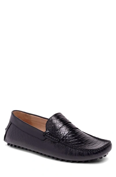 Shop Carlos Santana Jorde Snake Embossed Driver Loafer In Black