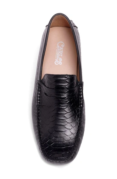 Carlos Santana Jorde Snake Embossed Driver Loafer In Black