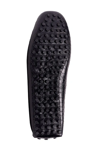 Carlos Santana Jorde Snake Embossed Driver Loafer In Black