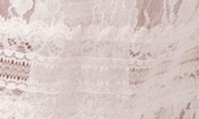 Edikted Sandra Sheer Lace Maxi Skirt In White