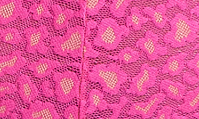 Shop Hanky Panky X-dye Leopard Print Retro Lace Vikini In Siesta