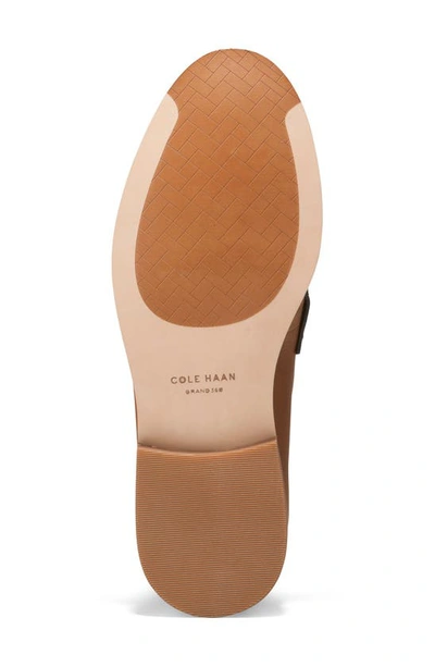 Shop Cole Haan Lux Pinch Penny Loafer In Pecan/ Ivory Leather