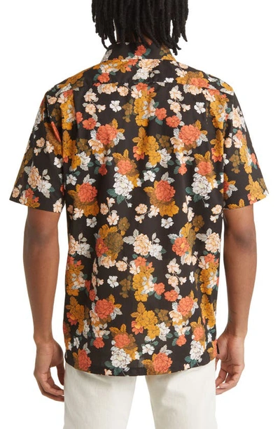 Shop Good Man Brand Big On-point Short Sleeve Organic Cotton Button-up Shirt In Black Tuscan Floral