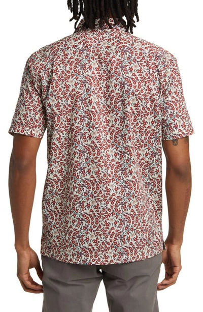 Shop Good Man Brand Big On-point Short Sleeve Organic Cotton Button-up Shirt In Red Poppy Floral