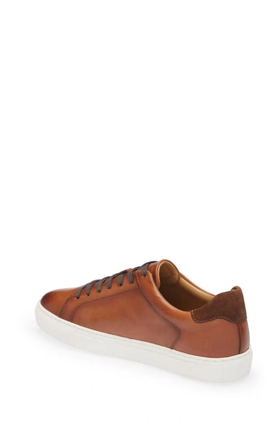 Shop Nordstrom Jace Sneaker In Brown Saddle