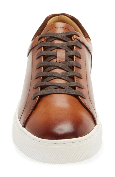 Shop Nordstrom Jace Sneaker In Brown Saddle