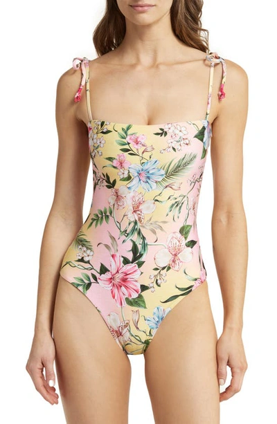 Shop Agua Bendita Kailan Sally Floral One-piece Swimsuit In Multi Pink