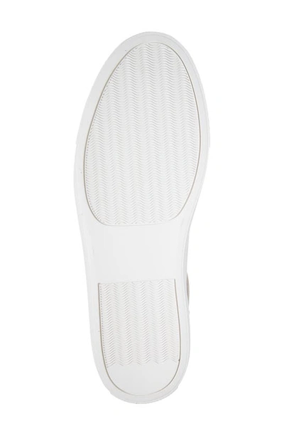 Nordstrom Jace Sneaker In Ivory Shell- Tan