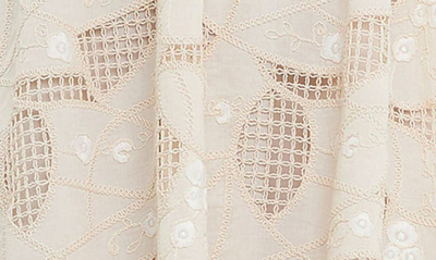 English Factory Embroidered Lace A-line Dress In Ivory