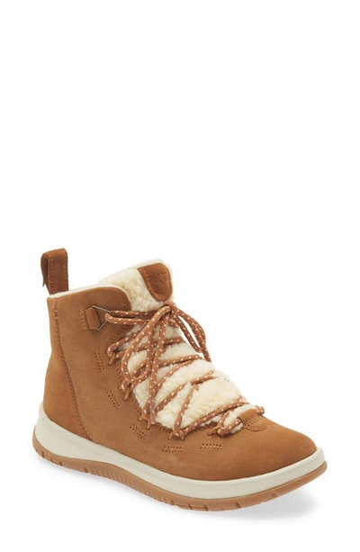 Shop Ugg Lakesider Heritage Boot In Chestnut Suede