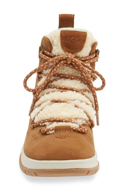 Shop Ugg Lakesider Heritage Boot In Chestnut Suede