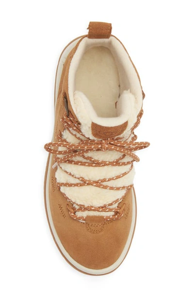Ugg Womens Lakesider Heritage Mid Chestnut Suede In Chestnut Suede