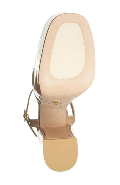 Stuart Weitzman Skyhigh 145 Platform Pump In Adobe