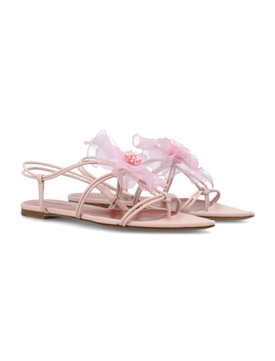 Shop Nensi Dojaka Tulle Flowers Appliqué Thong Sandals In Pink