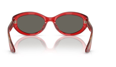 Pre-owned Oliver Peoples 0ov5513su-1969c 1761r5 Translucent Red/carbon Grey Sunglasses In Gray