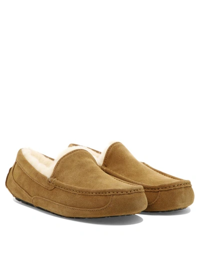Shop Ugg "ascot" Loafers In Beige