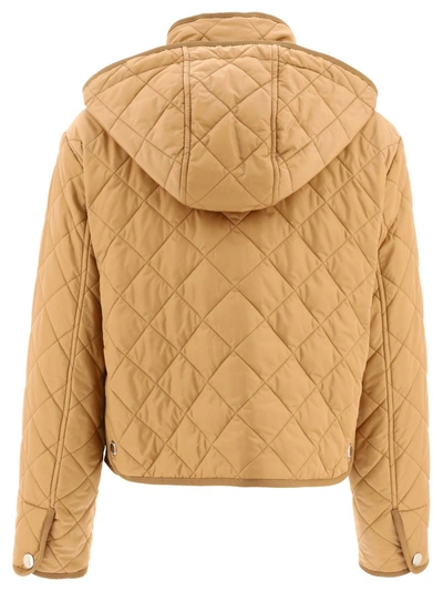 Shop Burberry "humbie" Jacket In Beige