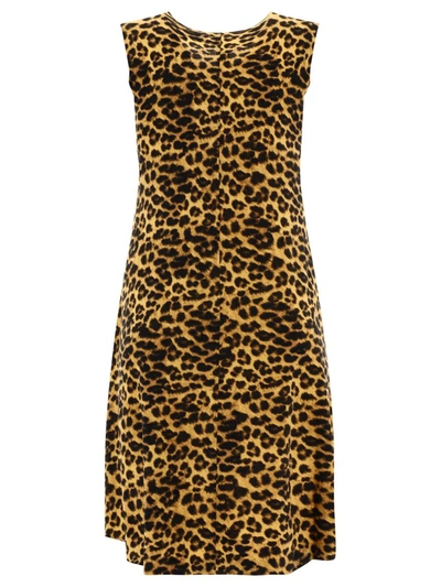 Norma Kamali In Brown