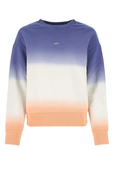 Shop Apc A.p.c. Sweatshirts In Multicoloured