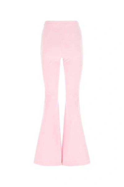 Shop Alexander Wang Pants In Pink