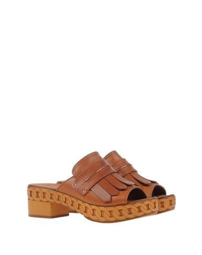 Shop Casadei Sandals In Tan