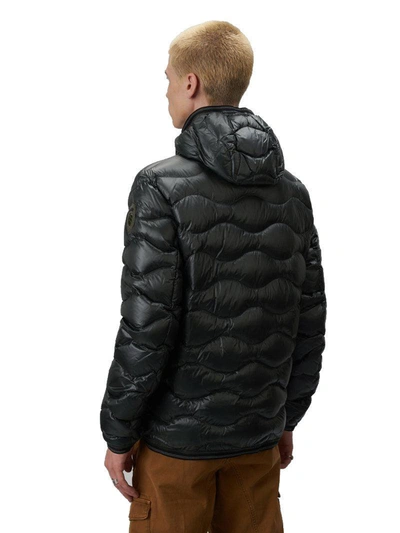 Blauer Jacket In Green