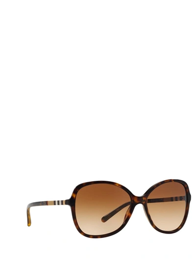 Shop Burberry Sunglasses In Dark Havana