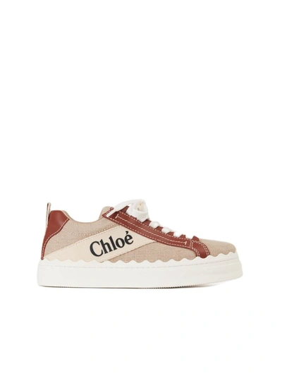 Shop Chloé Sneakers In Wht/brwn