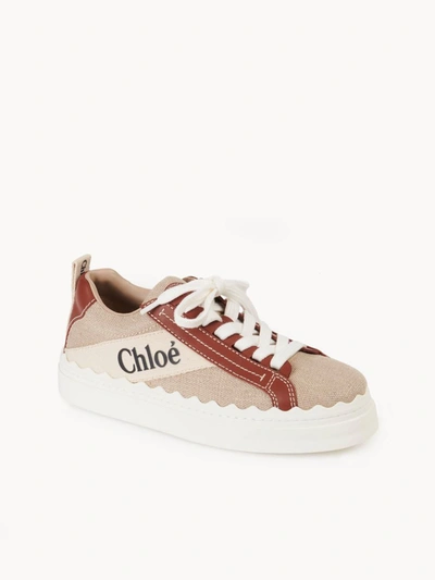Shop Chloé Sneakers In Wht/brwn
