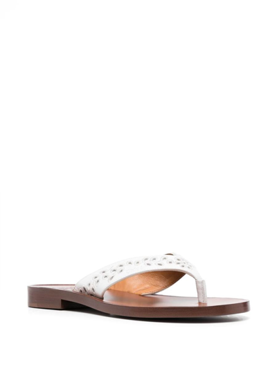 Shop Chloe X Eres Chloé X Eres Paz Leather Thong Sandals In White