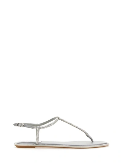 René Caovilla Amalia Embellished Thong Sandals In Silver