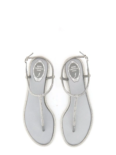 René Caovilla Amalia Embellished Thong Sandals In Silver