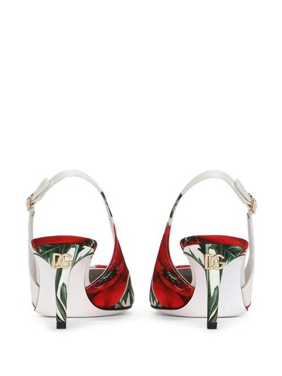 Shop Dolce & Gabbana Happy Garden Slingback Pumps In White