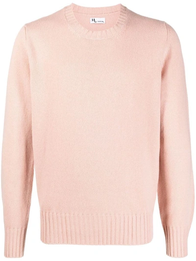 Shop Doppiaa Crew Neck Sweater In Pink