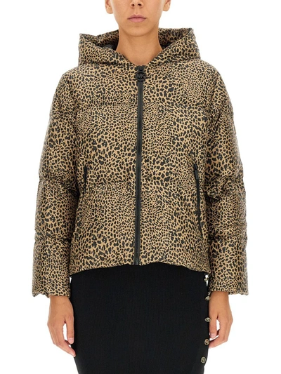 Shop Michael Michael Kors Down Jacket With Animal Print In Brown