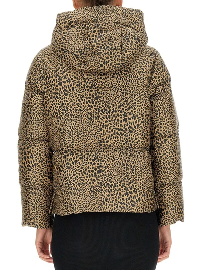 Shop Michael Michael Kors Down Jacket With Animal Print In Brown