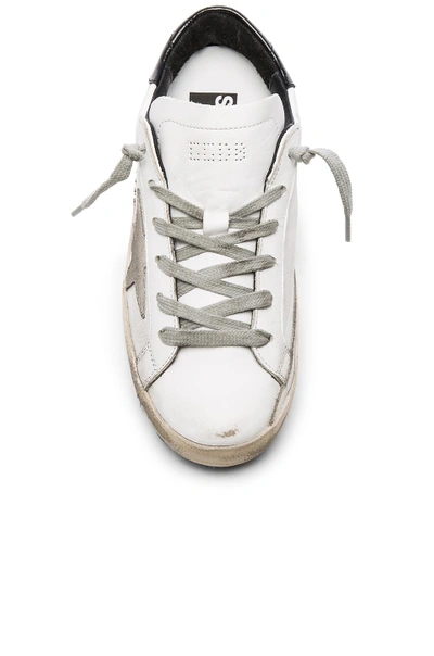 Shop Golden Goose Superstar Sneaker In White & Black & Cream