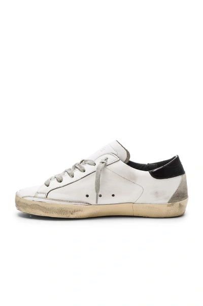 Shop Golden Goose Superstar Trainer In White & Black & Cream