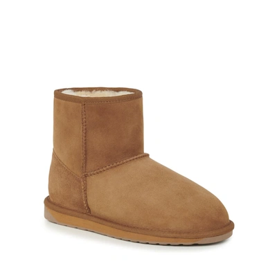 Emu Stinger Mini Shoes In E012 Chestnut