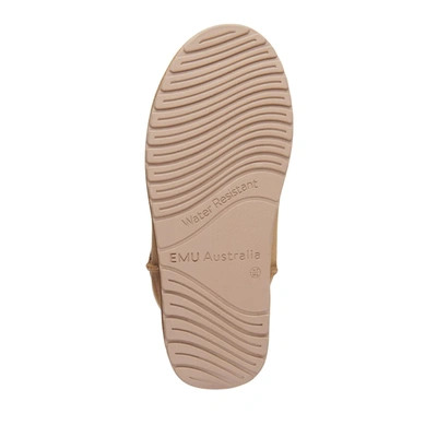 Emu Stinger Mini Shoes In E012 Chestnut