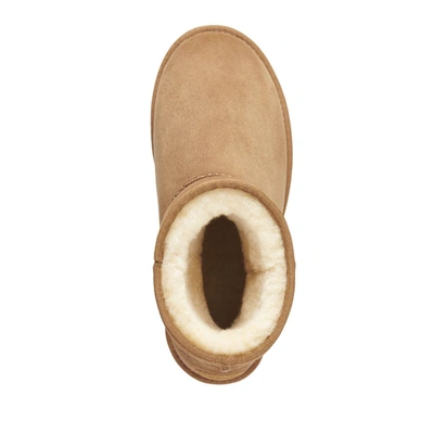 Emu Stinger Mini Shoes In E012 Chestnut
