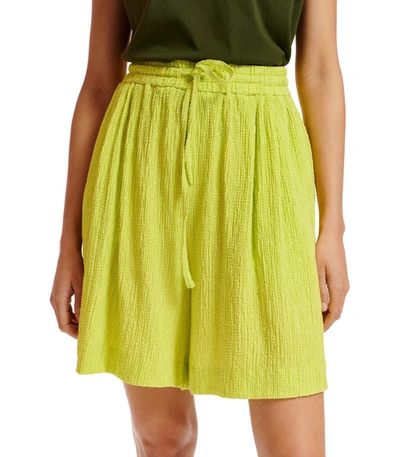 Shop Essentiel Antwerp Didim Lime Bermuda Shorts In Yellow